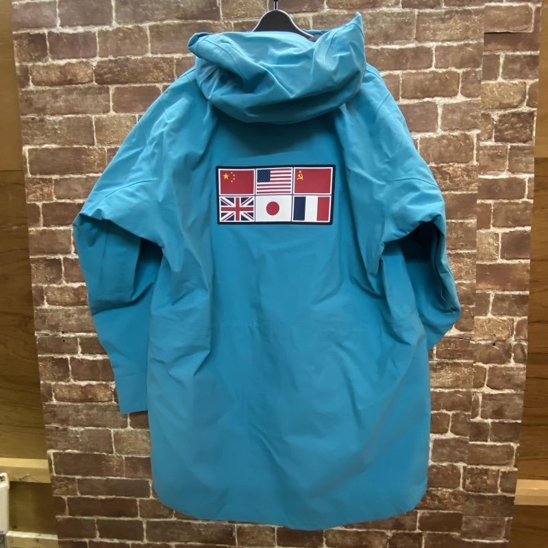 THE NORTH FACE Trans Antarctica Parka NP62238 Gore-Tex Jacket Jade