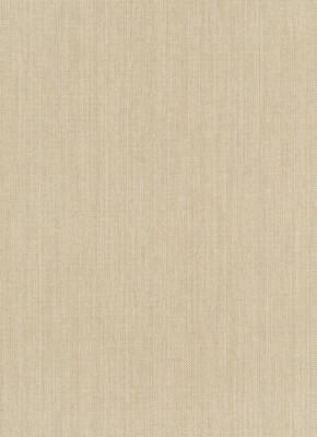 Erismann Vliestapete Paradisio 2 beige 630902