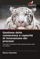 Mauro PazmiñO | Gestione Della Conoscenza E Capacità Di Innovazione Dei Processi