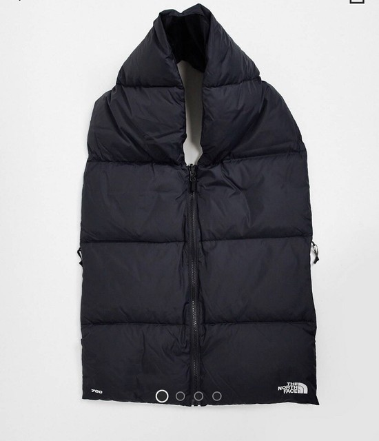 The North Face Unisex Nuptse 700 Fill 