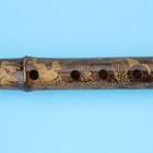 Foto 6 di 11