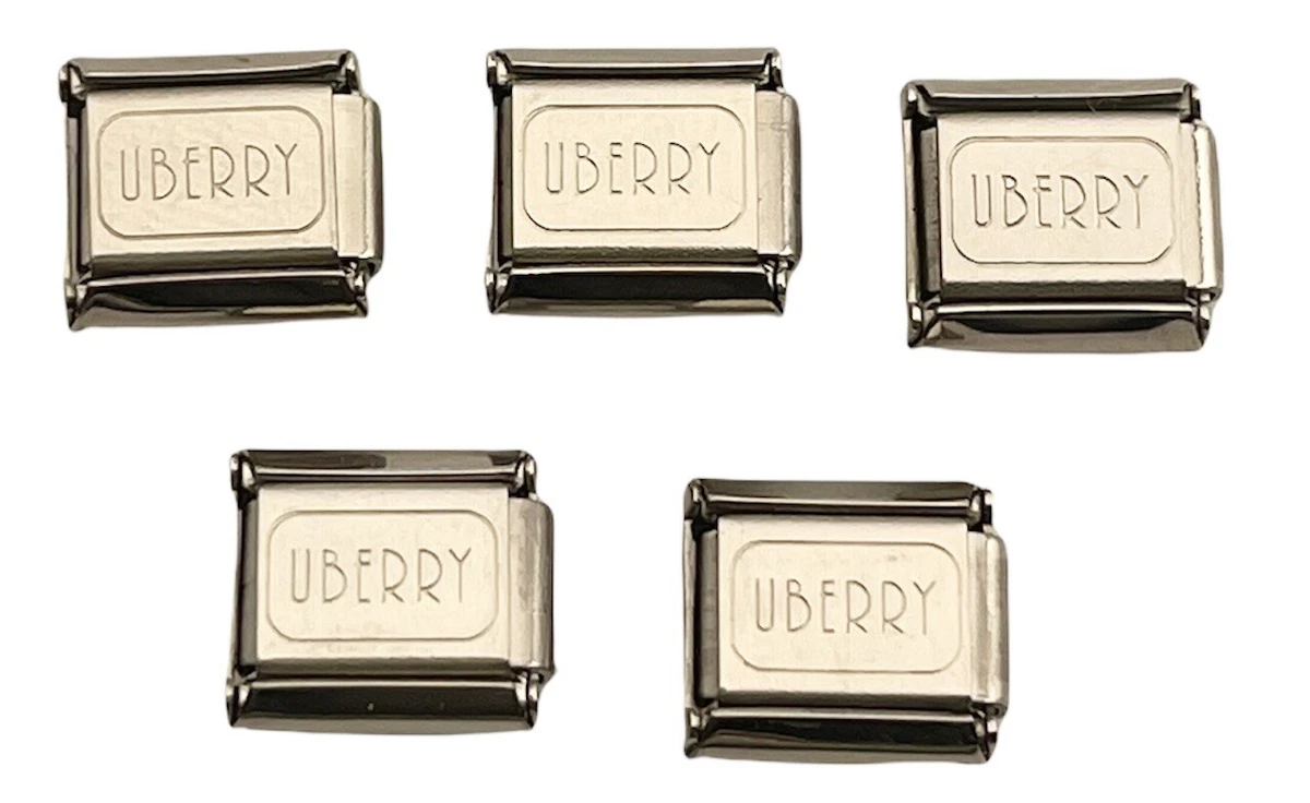 UBERRY DOG ITALIAN CHARM BRACELET LINKS Photo Stainless Steel Italy LOT OF 5