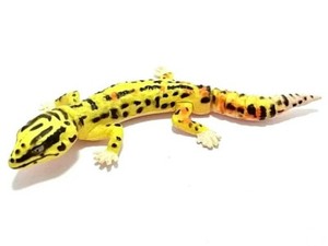 mini leopard gecko toy