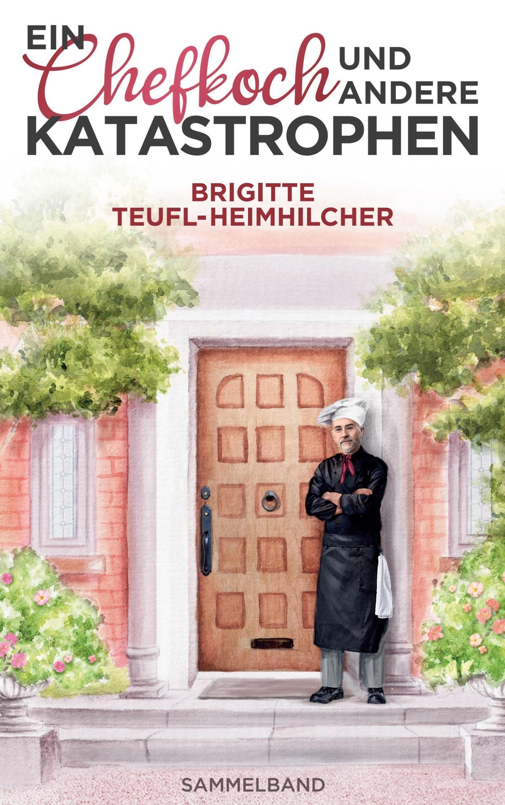 Ein Chefkoch Und Andere Katastrophen | Brigitte Teufl-heimhilcher |