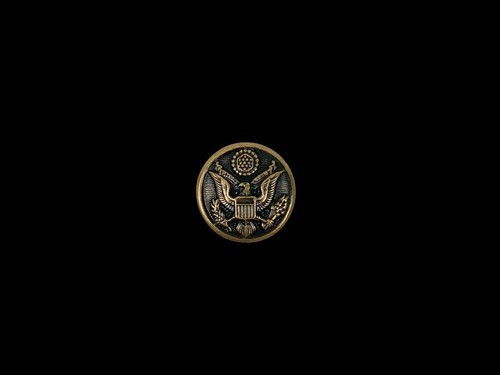 US ARMY REGULATION AGSU BUTTONS SINGLE AND SETS OFFICAL UNIFORM VET - Picture 3 of 9