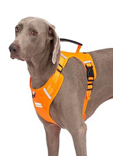 Dog Harness Adjustable Breathable No Pull PVC Handle Reflective Orange  Large