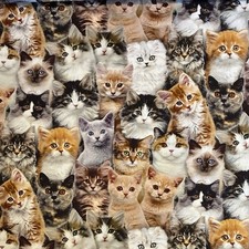 Cats Adorable Pets Cotton Fabric BTY Elizabeth's Studio Kittens Kitty Felines