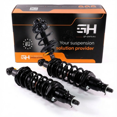 2x Komplett Stoßdämpfer Federbein Satz Hinten für Honda FR-V ab BJ. 08.2004-