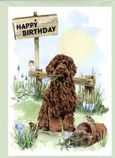 Labradoodle / Doodle Dog (4"x 6") Birthday Card - blank inside - by Starprint