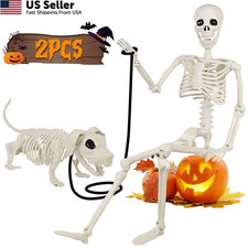 36'' Halloween Skeleton Decorations with Dog Skeleton: 3FT Posable 3FT, White