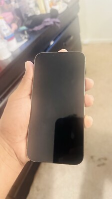 IPhone 13 Pro Max green 128gb Carrier: US spectrum mobile. | eBay