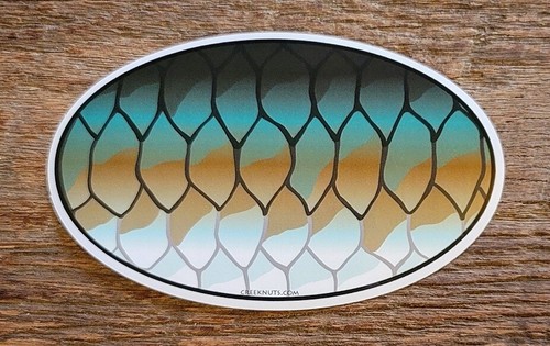 TARPON Stickers STATE CUT-OUTS fishing fly fishing DECALS saltwater flats - Afbeelding 25 van 28