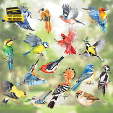 Spring Summer Birds Double Sided Window Clings - Set of 17 Hummingbird Parrot An