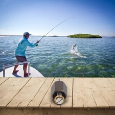 Fishing Accessory Wire Ring Removal Tool for For STELLA Bearing Repair