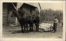 Bridled Horse Team Pulling Log Sledge CRISP IMAGE Real Photo Postcard c1910