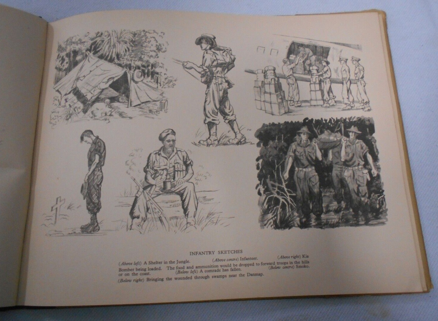 Picture 6 of 8