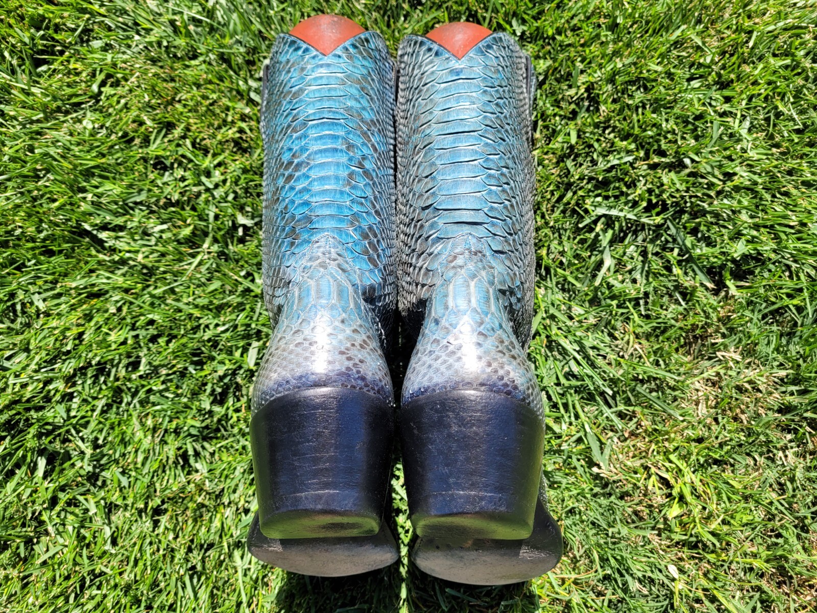 10.5 D ⭐ ANDERSON BEAN ⭐ BLUE ⭐ PYTHON ⭐ SNAKE ⭐ … - image 3