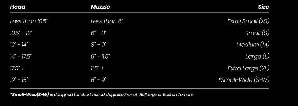 GAFAS REX SPECS VERSIÓN 2 PERRO TALLA EXTRA PEQUEÑAS - Imagen 3 de 3