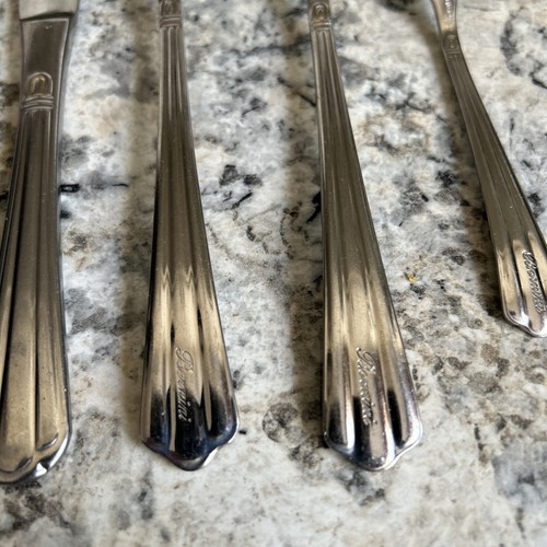 Pinti Italy Flatware Silverware Pintinox Bernini Stainless 18/10 - Picture 16 of 20