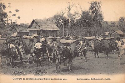 Laos - Caravan of supplies by ox-carriers - Publ. Missions Étrangères de Paris