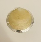 Picture 5 of 8