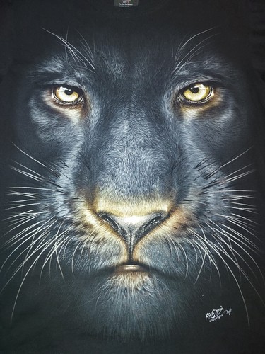 Rock Chang Deft High Definition Men's Large Graphic Print T-shirt Black Puma - Picture 2 of 7
