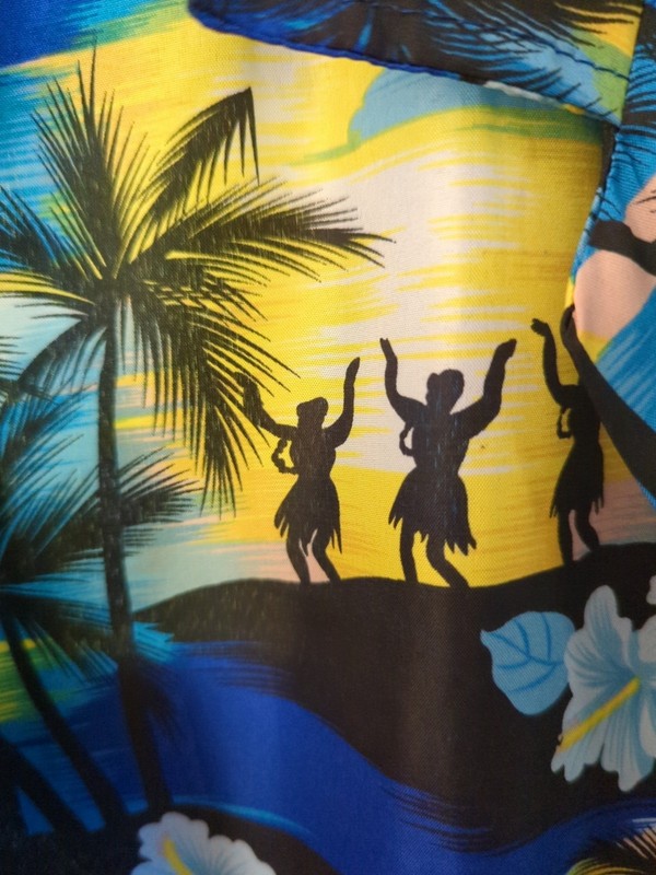  Hawaiian Shirt, Mens Size 3XL Made In Hawaii !!! Winnie Fashion....