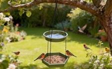 2 in 1 Bird Feeder & Bird Bath Hanging Bird Feeding Tray and Bath Outdoor