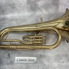 Foto 15 di 15