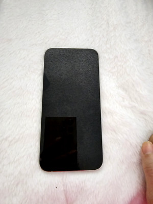 Apple iPhone 13 Pro Max - W TikTok App installed
