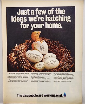 1971 American Natural Gas Association Bird Hatching Original Print Ad Life Retro