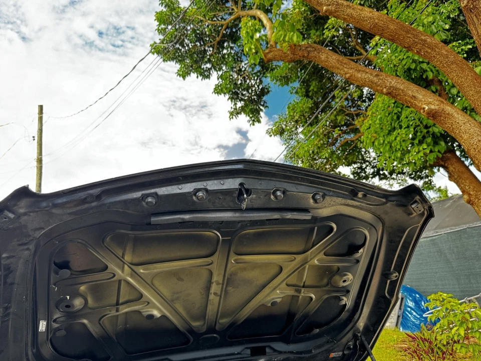 Cadillac ATS 2013-2019 capó capó carcasa cubierta panel OEM Foto 2 de 4