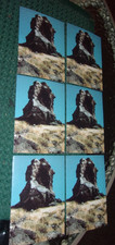 ( 6 ) Postcards  GREAT STONE FACE ( Devil's Chimney ) Delta Utah Joseph Smith