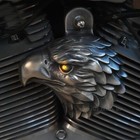 Harley Eagle Horn Cover Aged Aluminum finish with Amber Led eye. EAG-HBA-A