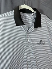 Cutter &Buck Mens Golf Polo Shirt Size XL Blue Textured Eagle Falls Resort