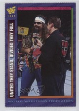 1996-98 WWF Magazine Cards Dude Love United They Stand Divided Fall #153 0w6