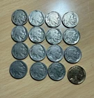19 BUFFALO Indian Head Nickel Lot Dates & Non Dates - 1 Gold Plated