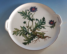 Vintage Villeroy & Boch Botanica Tortenplatte Kuchen Servierplatte (F025-1072)