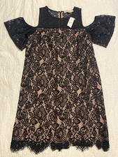 loft size 4 NWT lace dress with cut out sleeves originally $98-tag still attache