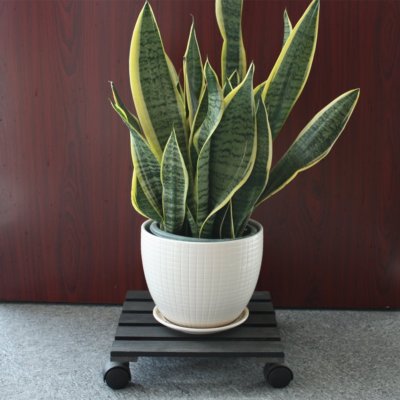 Black 14 inch Plant Caddy Heavy Duty Plant Stand with 5 Wheels Holds up 150 lbs