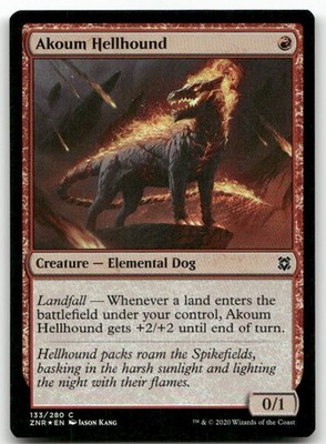 Akoum Hellhound #133 (Foil) (NM) Zendikar Rising ZNR Magic MTG
