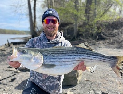 Savage Gear Real Eel Surf Fishing Lures You Choose Striped Bass Snook Snapper