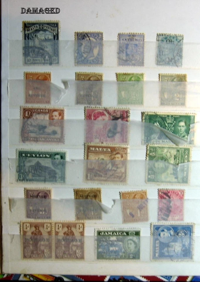 BC India Queensland NSW Malta India NZ Uganda Bermuda SA Kenya Jamaica Ext. - Image 3 of 4