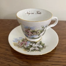 Crown Trent Tea Cup Saucer Niagara Falls Floral England Bone China Vintage