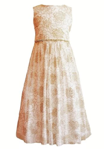 NWT Rare Editions Girls 3T Ivory Gold Metallic Floral Special Occasion Dress - Picture 1 of 1