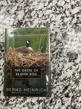 The Geese of Beaver Bog 