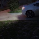 Picture 5 of 5