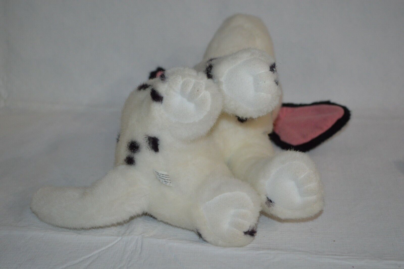 Picture 8 of 10