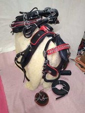 Leather Gypsy Harness in Black with Red Trim in Full, Cob, Pony & Shetland