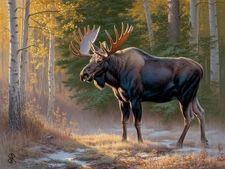 Guardian of the Golden Woods - 1 of 1 - 18" x 24" Fine Art Print - Bull Moose